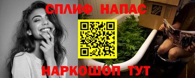 шишки Северобайкальск